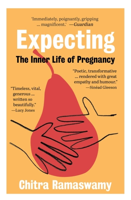 Expectingthe Inner Life of Pregnancy