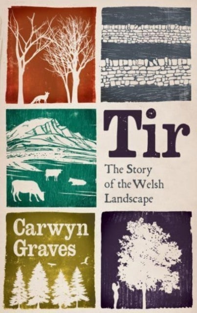 Tirthe Story Of The Welsh Landscape