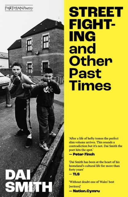 Street Fighting And Other Past Times