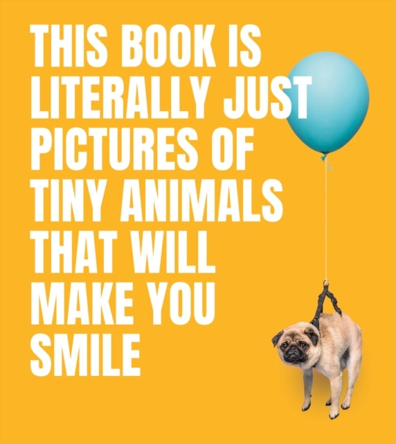 This Book Is Literally Just Pictures of Tiny Animals That Wi