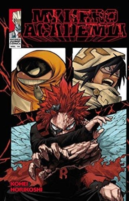 D1 My Hero Academia Vol. 16