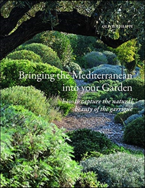 Bringing the Mediterranean Into Your Garden